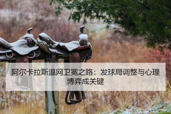 a-er-ka-la-si-wen-wang-wei-mian-zhi-lu-fa-qiu-ju-tiao-zheng-yu-xin-li-bo-yi-cheng-guan-jian-2-187.jpg
