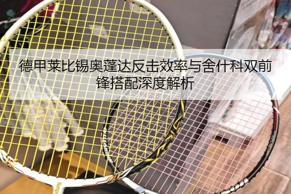 de-jia-lai-bi-xi-ao-peng-da-fan-ji-xiao-lv-yu-she-shen-ke-shuang-qian-feng-da-pei-shen-du-jie-xi-3-685.jpg