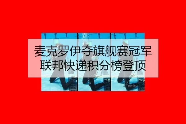 麦克罗伊夺旗舰赛冠军 联邦快递积分榜登顶