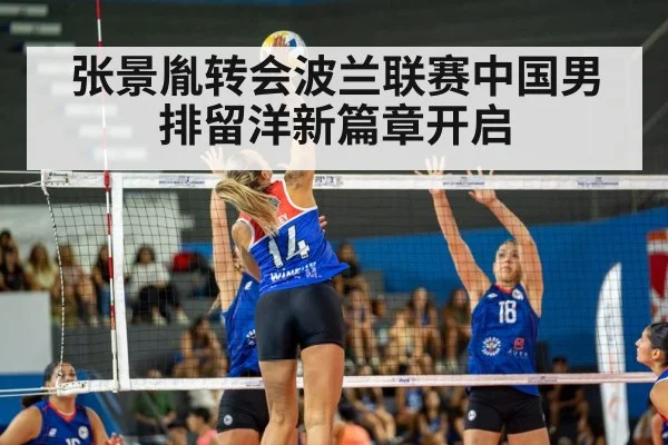 张景胤转会波兰联赛中国男排留洋新篇章开启