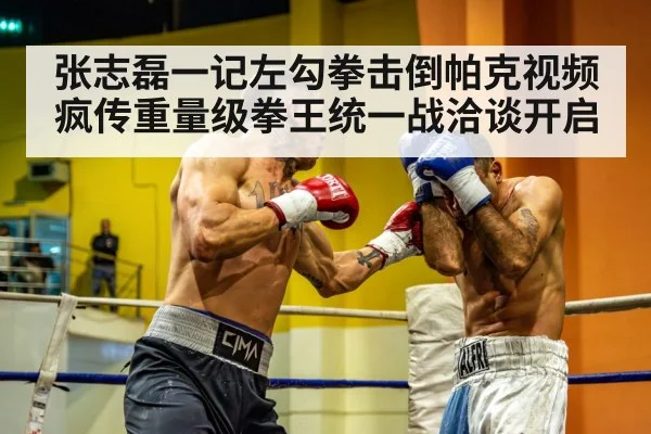 张志磊一记左勾拳击倒帕克视频疯传重量级拳王统一战洽谈开启